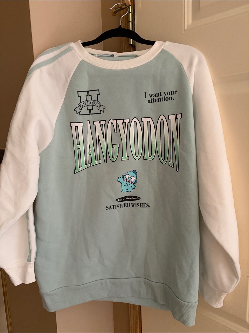 HANGYODON Mint & White Raglan Sweatshirt - BNWT from Japan Authentic Sanrio